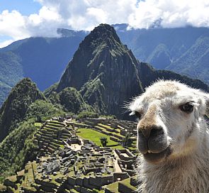 Circuito por Cusco y Machu Picchu - Perfecto